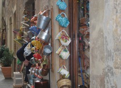 ORCIA 6