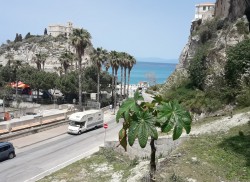 Tropea akant