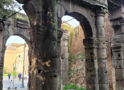 ROMA BOARIUM