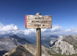 SCORLUZZO